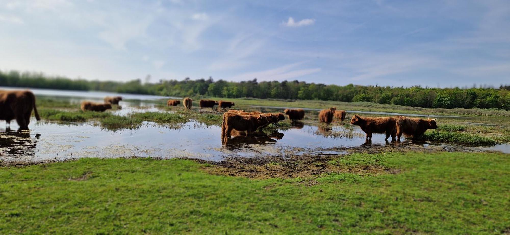 Het Zomerhuis Egmond Binnen Bagian luar foto